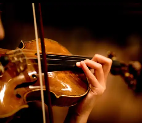Violin Classes Indirapuram